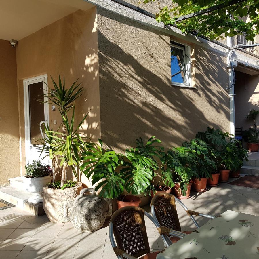 Villa Pedja Zec Exclusive 3+ بودفا المظهر الخارجي الصورة